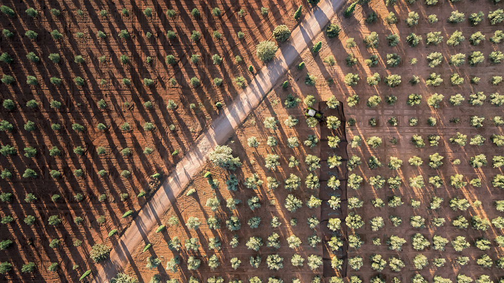 Thorsten Schmidtkord: neue Airshots für CLAAS Traktoren-Kampagne. 8 Thorsten Schmidtkord CLAAS Spanien Shooting Titel