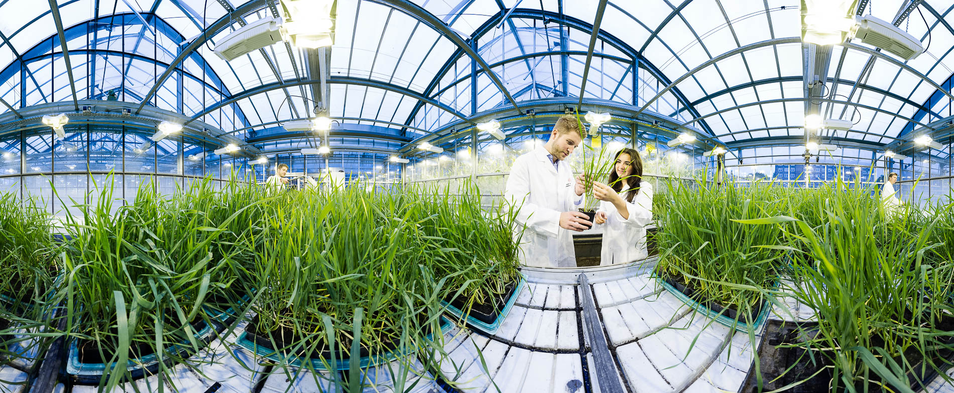 EXPOSE Photographers bieten für 360° Panoramen individuelle Layout-Shooting an. 7 360° Industrie Panorama für HELM AG - Motiv Biotechnologie im Gewächshaus – Uni-Projekt der HELM AG © Corporate Fotografie vom Panorama-Fotogaf Tobi Bohn Berlin.